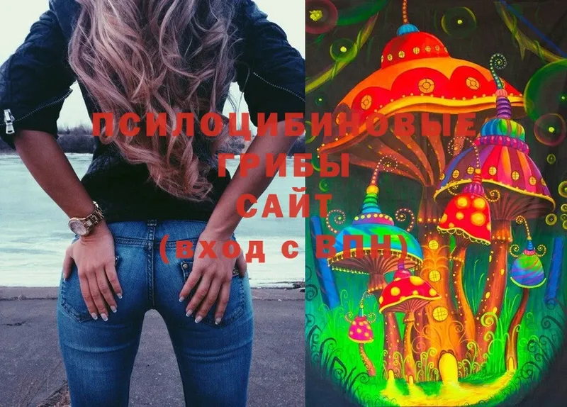 Галлюциногенные грибы MAGIC MUSHROOMS  как найти закладки  Яровое 